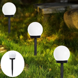 Solar Pathway Globe Lights | Premium Quality